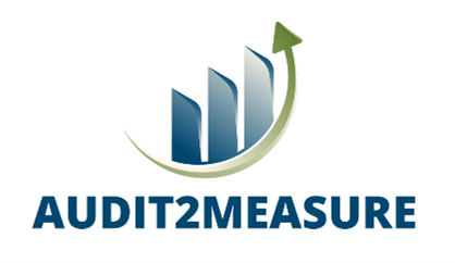 Audit 2 Measure Logo